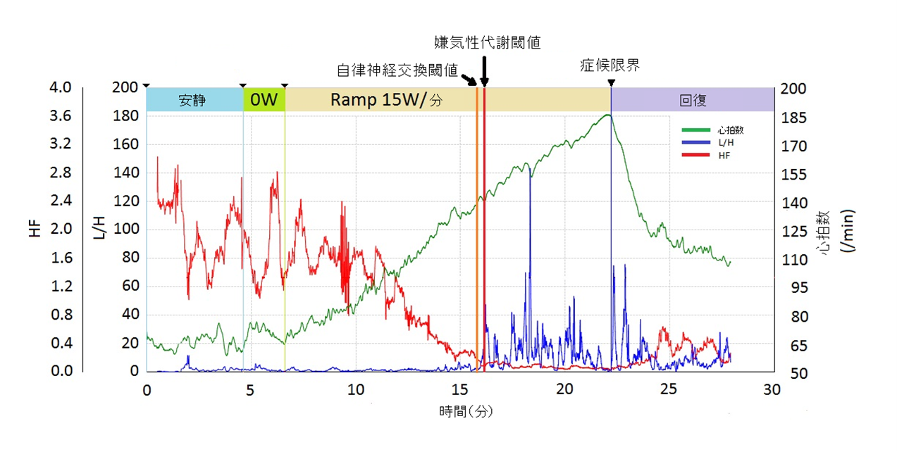 嫌気性代謝閾値のグラフ